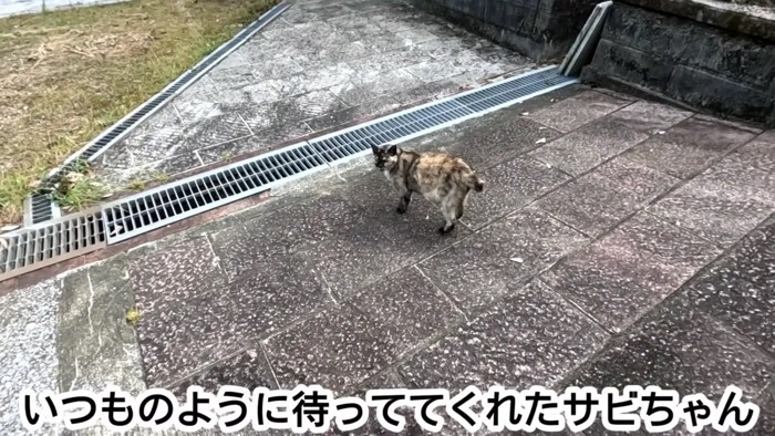 テロップ「いつものように待ってて～」