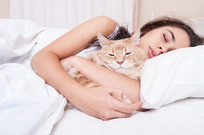 がっちり抱っこされる猫