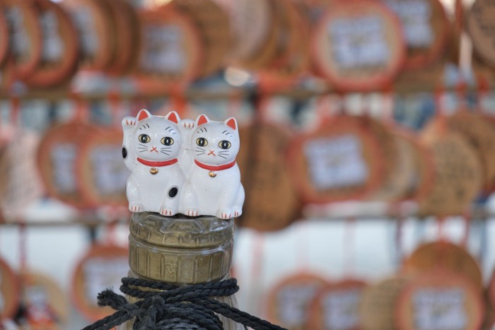 今戸神社の招き猫