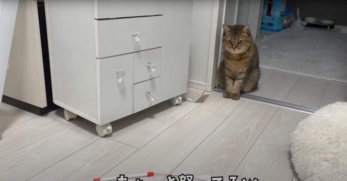 怒っているみにらくん