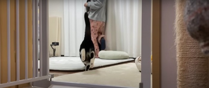 カーテンの裏に隠れる人