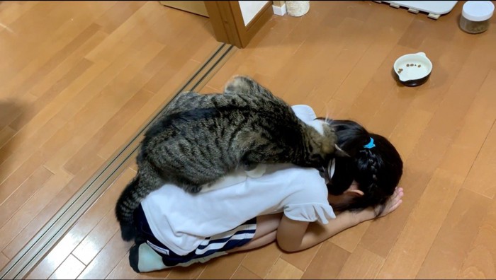 女の子の背中に顔を擦り付ける猫