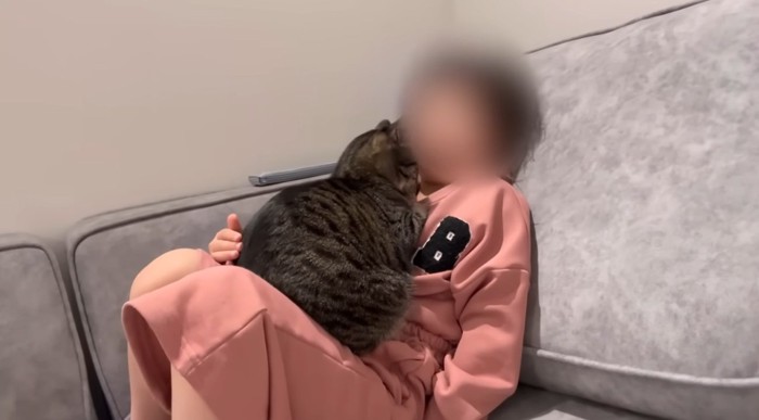 女の子と一緒に座っている猫