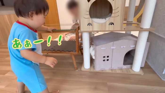 テロップ「ああー!」