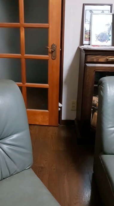 ドアの隙間から前足を出す猫