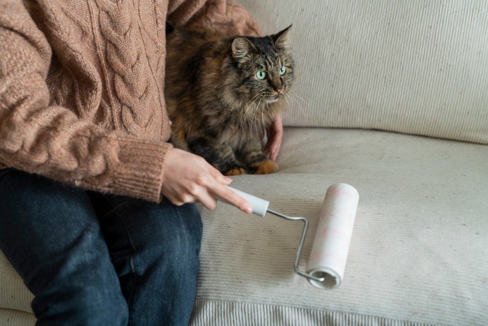 猫の抜け毛を掃除する飼い主さん