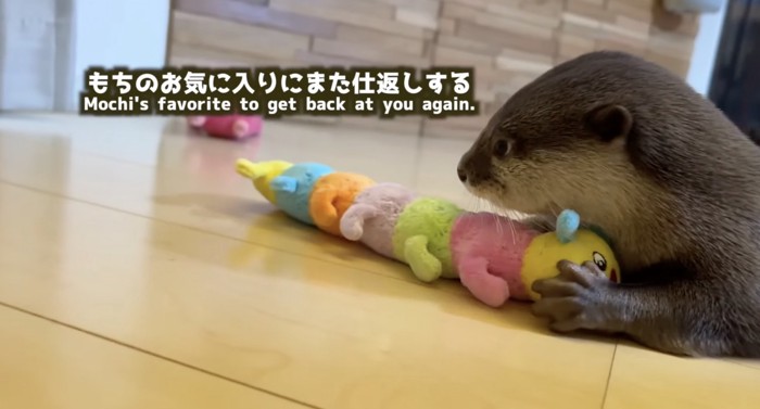 ぬいぐるみを掴むさくらちゃん