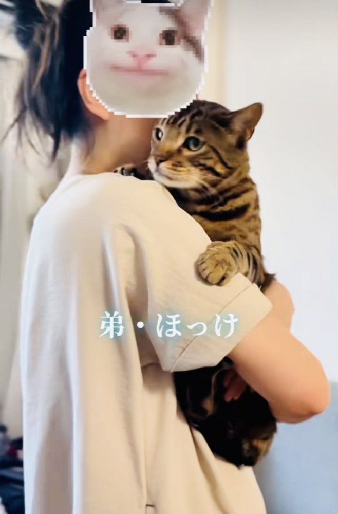 飼い主さんに抱っこされる弟ベンガル