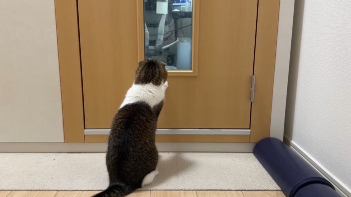後ろ姿