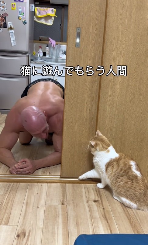 猫に遊んでもらう人間