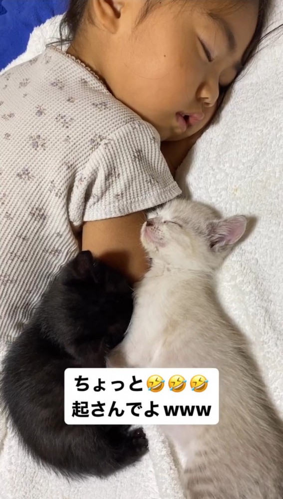 眠っている赤ちゃんと2匹の子猫