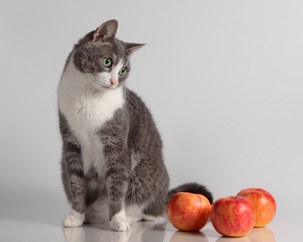 りんごのそばに座って首を傾げている猫
