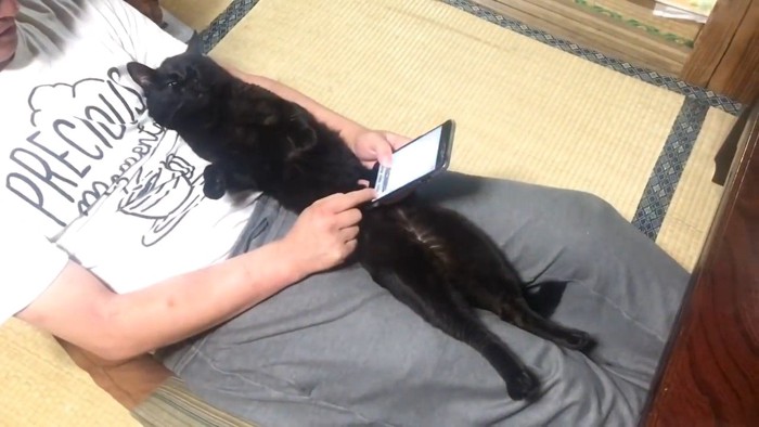 スマホ中