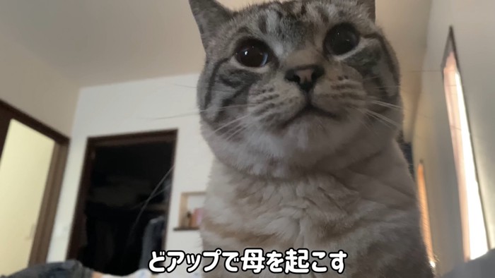 テロップ「どアップで~」
