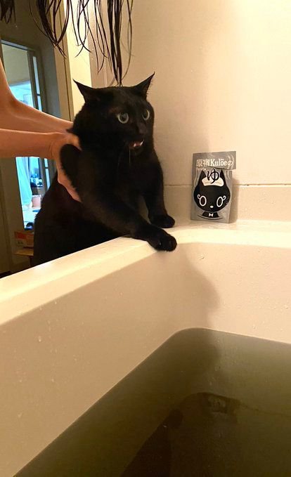 浴槽のふちでびっくり顔の黒猫