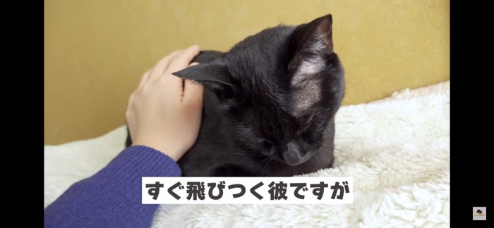 眠い