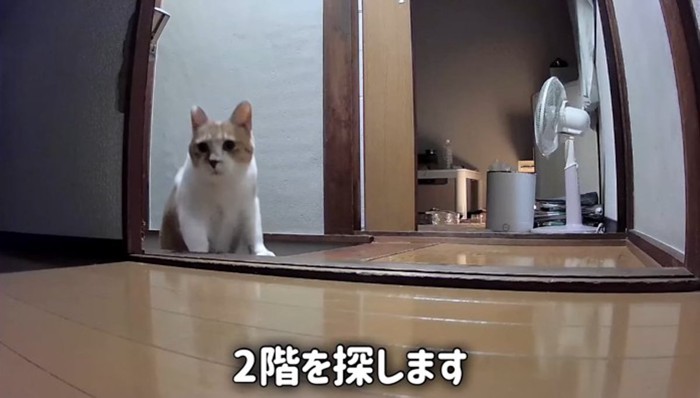 2階を探します