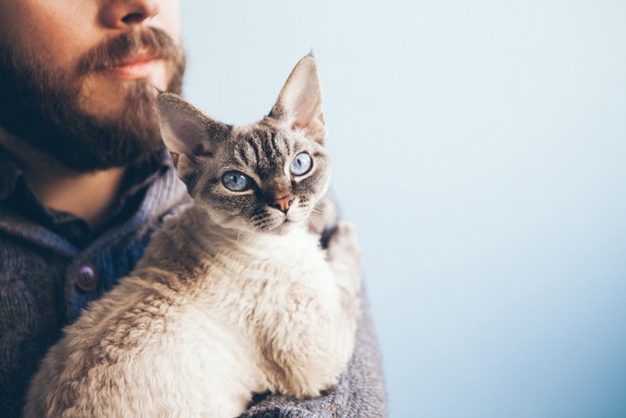 男性に抱きつく猫