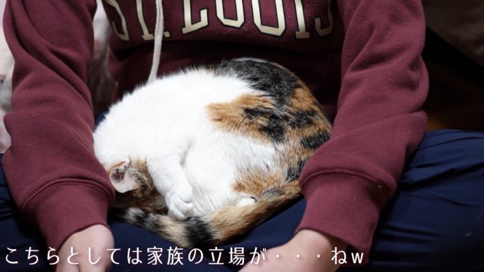 「こちらとしては...」のテロップ写真
