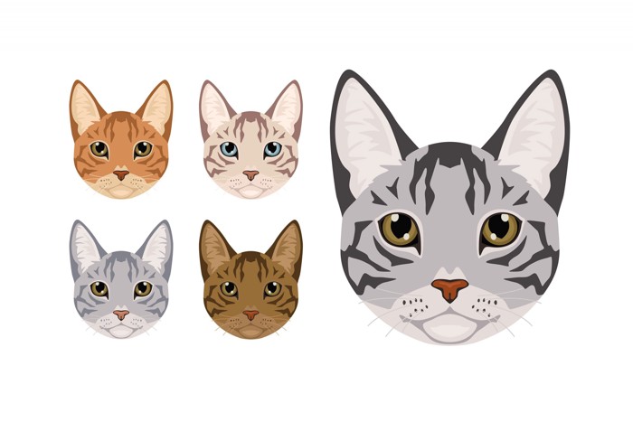 さまざまな毛色の5匹のチートーの顔を描いたイラスト