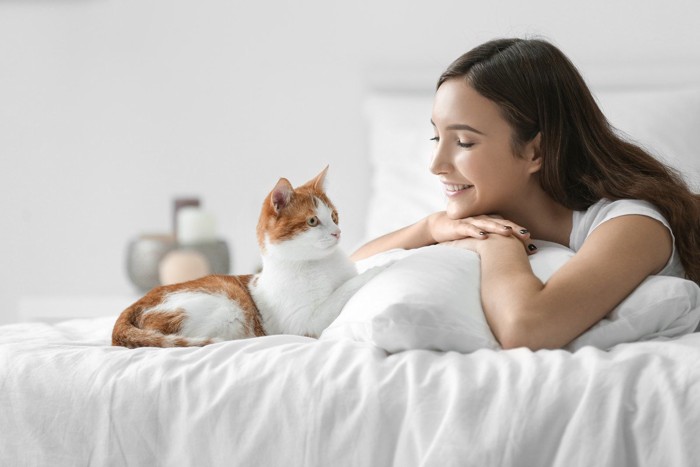 綺麗な女性と茶白の猫