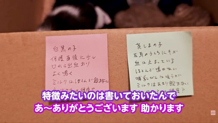 テロップ「あ~ありがとうございます」