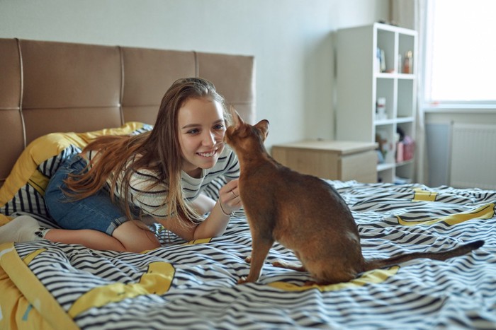 後ろを向いた猫と向かい合う人