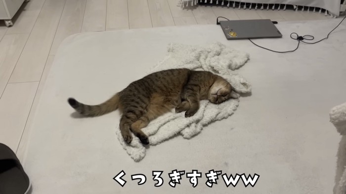 「くつろぎすぎｗｗ」のテロップ写真