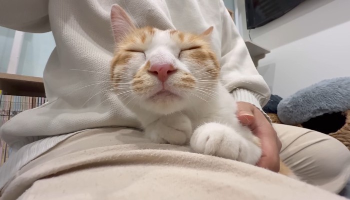うっとり