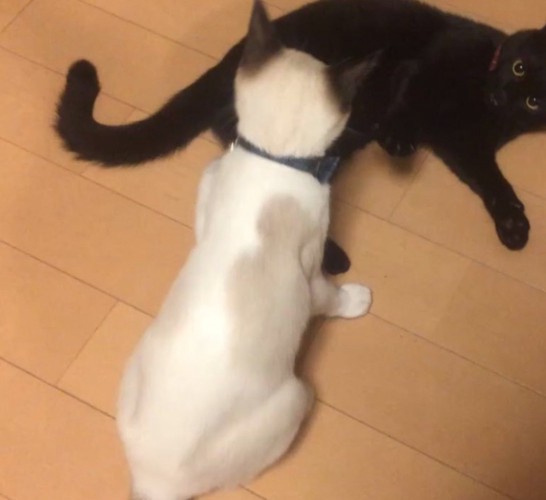 途中経過