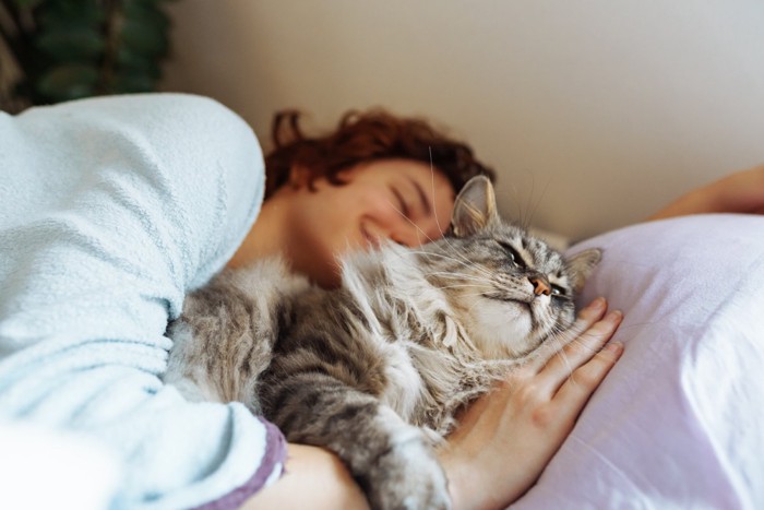 飼い主の腕で寝る猫