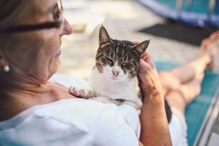 ベンチに座る女性の膝の上の猫