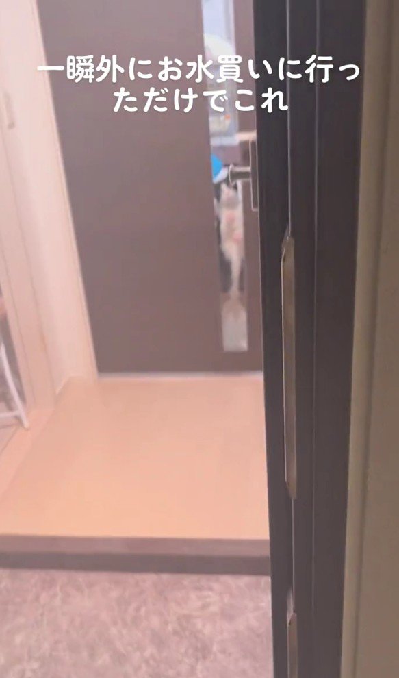 玄関から見たリビングドア
