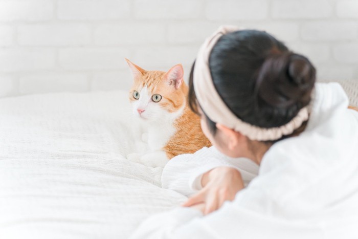 ベッドの上で女性の話を聞いている?猫