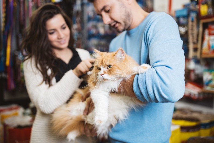 男女と猫