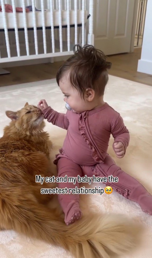 子どもが猫の顔を撫でる