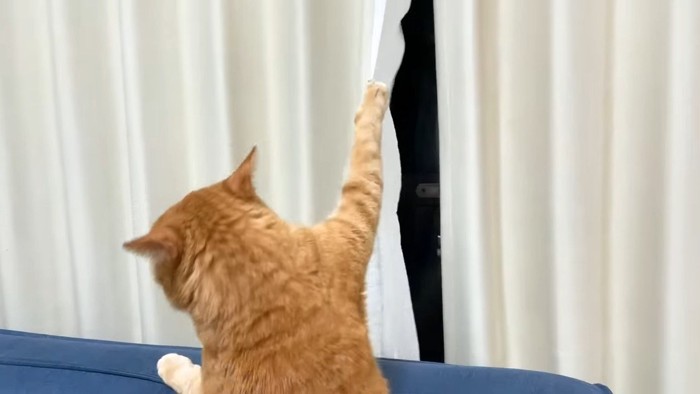 カーテン