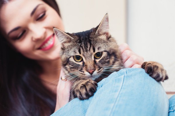 笑顔でキジ猫を撫でる女性