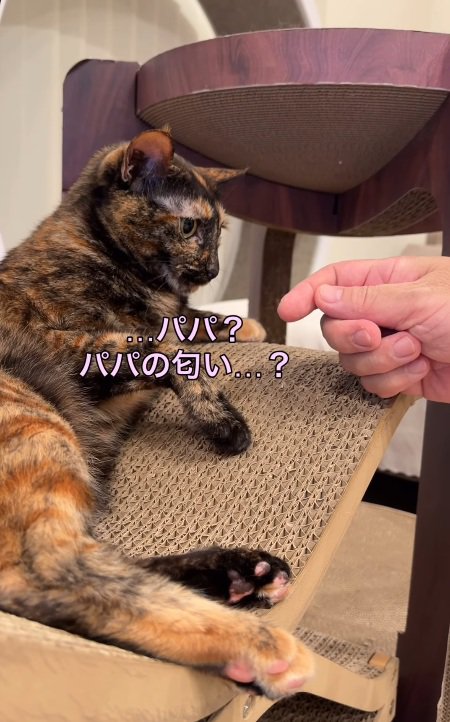 考える