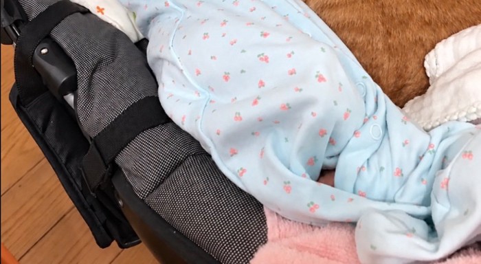 スウィングチェアに横になる赤ちゃん