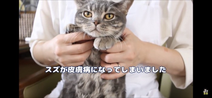 猫ニキビ発症