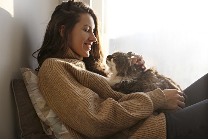 女性と抱っこされる猫