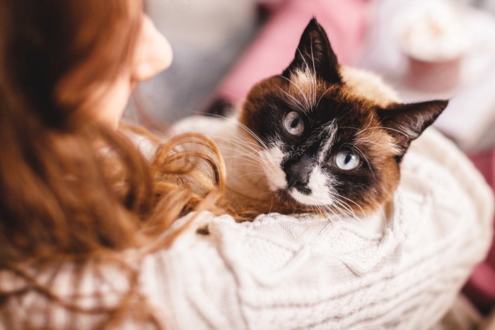 飼い主に抱っこされる猫