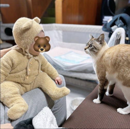 赤ちゃんと猫が見合っている