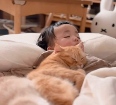 子供に寄り添い眠る茶トラ猫