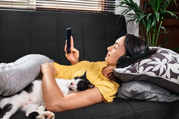 一緒に音楽を楽しむ猫