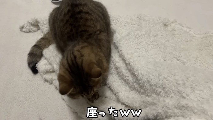 「座ったwｗ」のテロップ写真