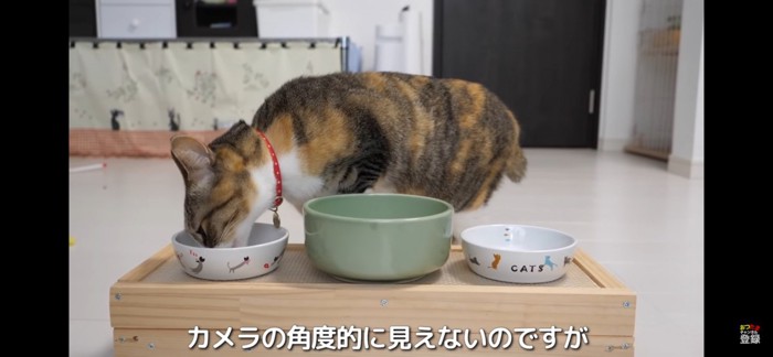 おつう味