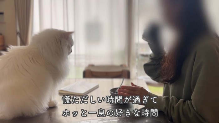 テロップ「慌ただしい時間が~」