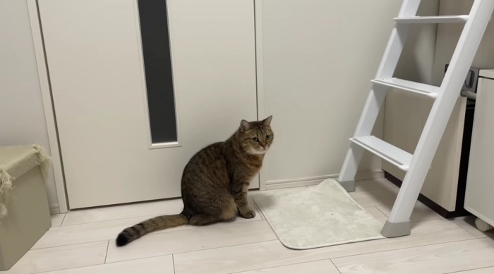 部屋のはじに逃げたみにらくん